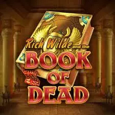 Book of Dead Meritking